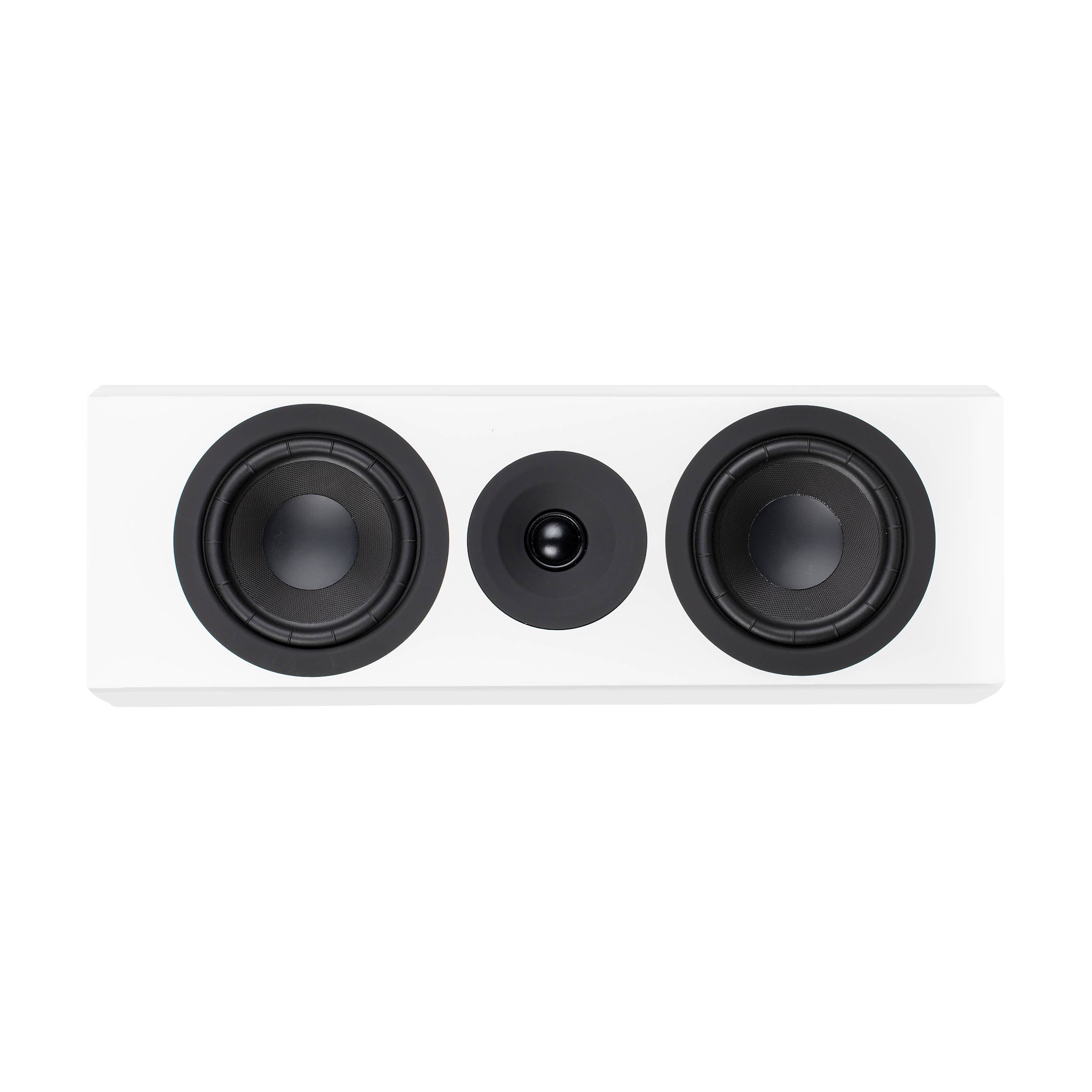 System Audio SA Legend 10.2 Silverback